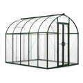 Serre de jardin en aluminium vert foncé et polycarbonate transparent avec toit arrondi et double porte, 305 × 244 × 220 cm
