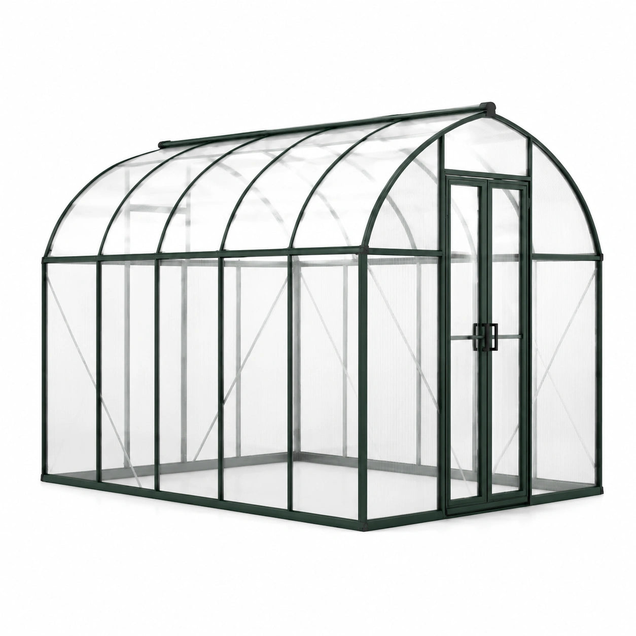 Serre de jardin en aluminium vert foncé et polycarbonate transparent avec toit arrondi et double porte, 305 × 244 × 220 cm